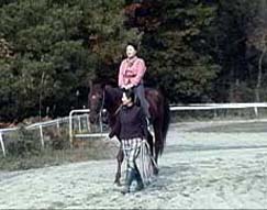 �u���n���v���C�m�v���[���e�[�^�[