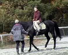 �u���n���v���C�m�v���[���e�[�^�[