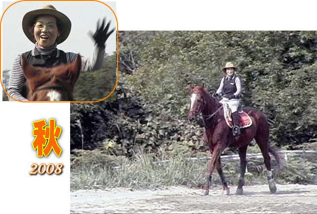 �A�j�}���Z���s�[2008�E�H