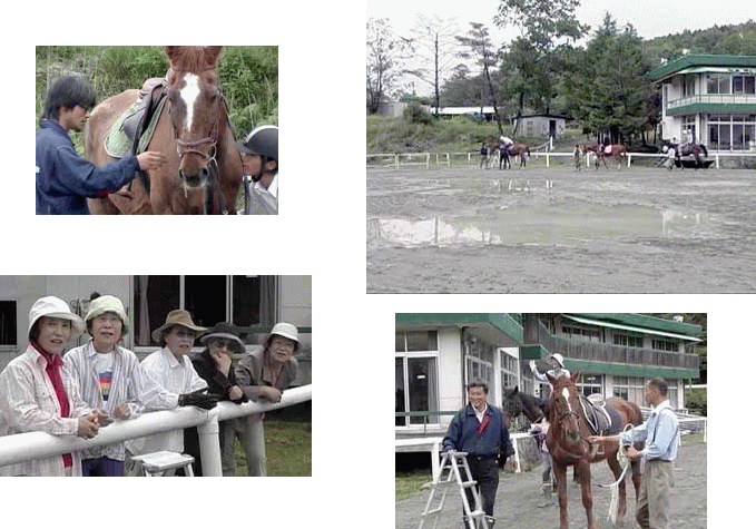 �A�j�}���Z���s�[�̑̌��w�K