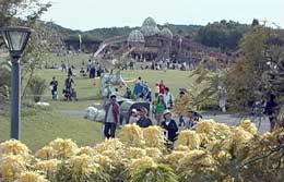 ��Ő��̍L��u���イ�̋u�v