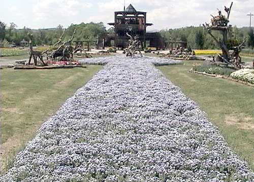 �Ԃ̍L��u�Ԃ̓W�]��v