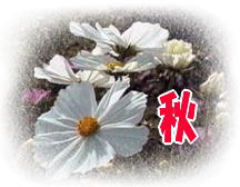 �Ԃ̍L��u�R�X���X�v