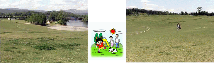 ��Ő��̍L��